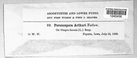 Image Associated With the Occurence